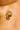Gold Collar Necklace